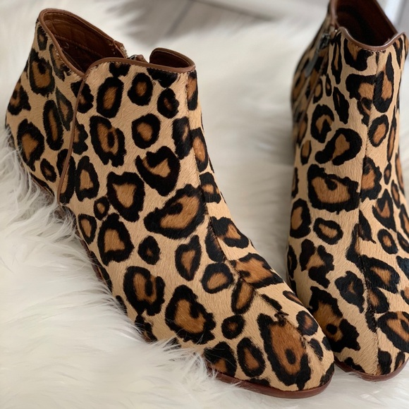 sam edelman petty leopard booties